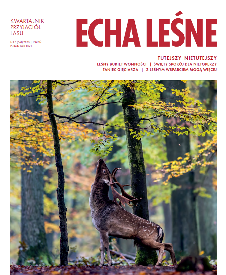 Jesienne Echa Leśne