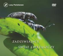 Chrząszcze leśne na festiwalu "Sztuka Natury"