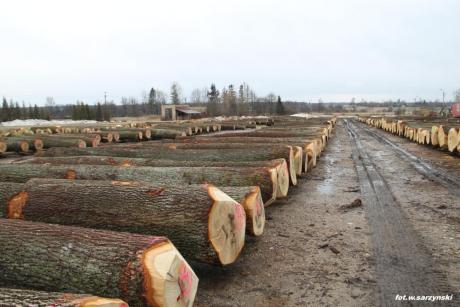 Zmiany terminów wiosennych kursów brakarskich