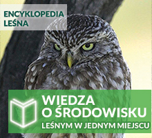 Encyklopedia&#x20;Leśna