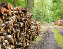 Kursy Brakarskie 2025