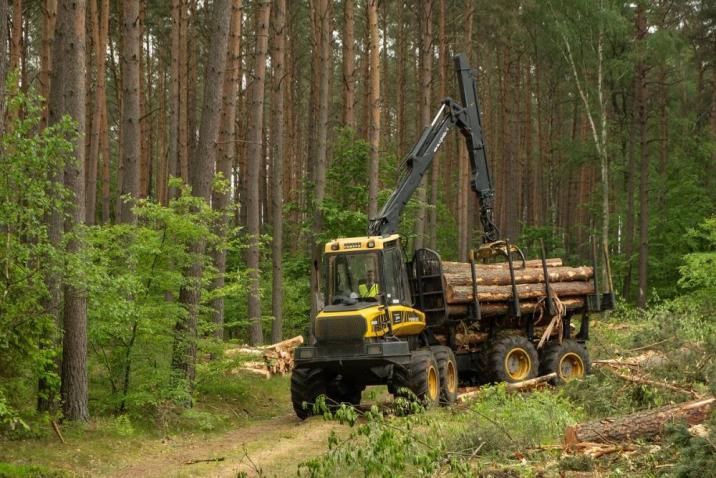 Fot. Magda Stępińska
