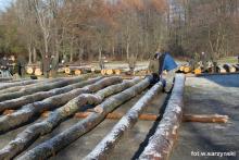 Kursy Brakarskie 2026