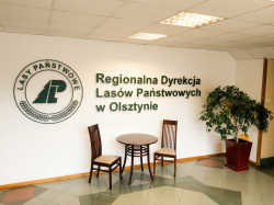 Logo dla RDLP w Olsztynie